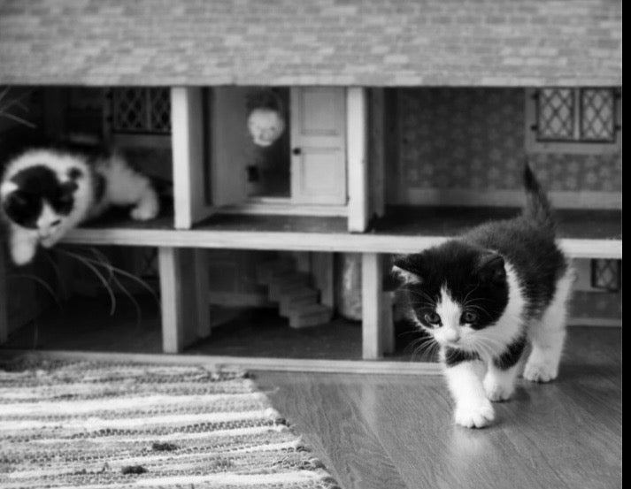 February 14th · Love Unconditional Challenge